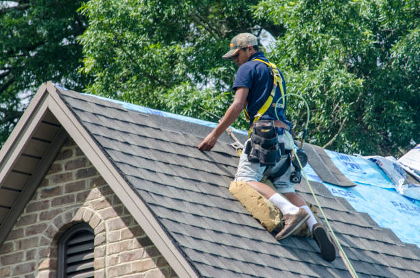 Residential Roof Replacement in Aitkin, MN